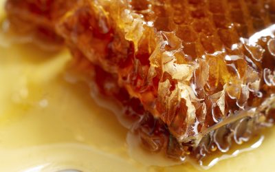 ما هي استخدامات شمع النحل؟